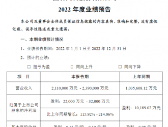 國(guó)軒高科2022年凈利最高預(yù)增超兩倍